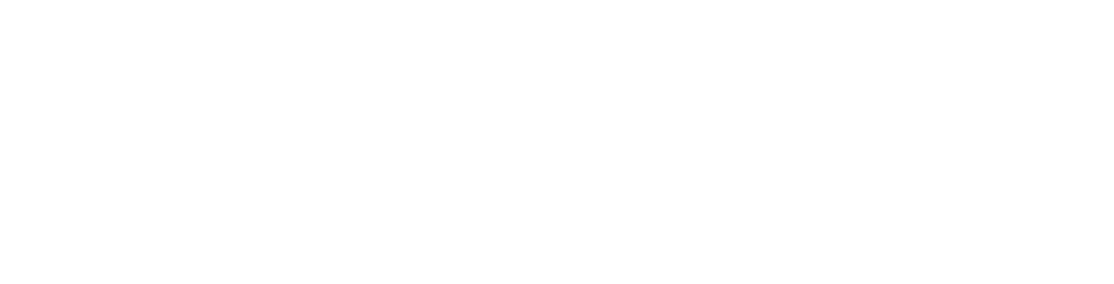 The Praesidium Law Firm Logo